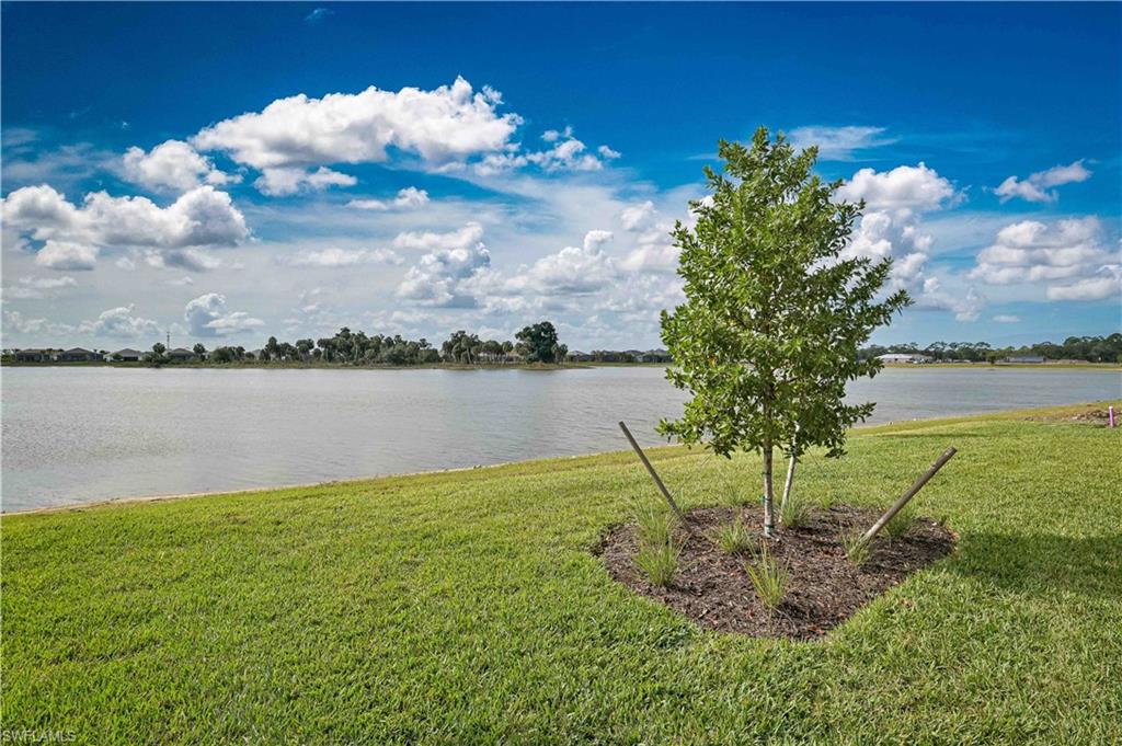 7394 Blue Salvia Dr Property Photo 3