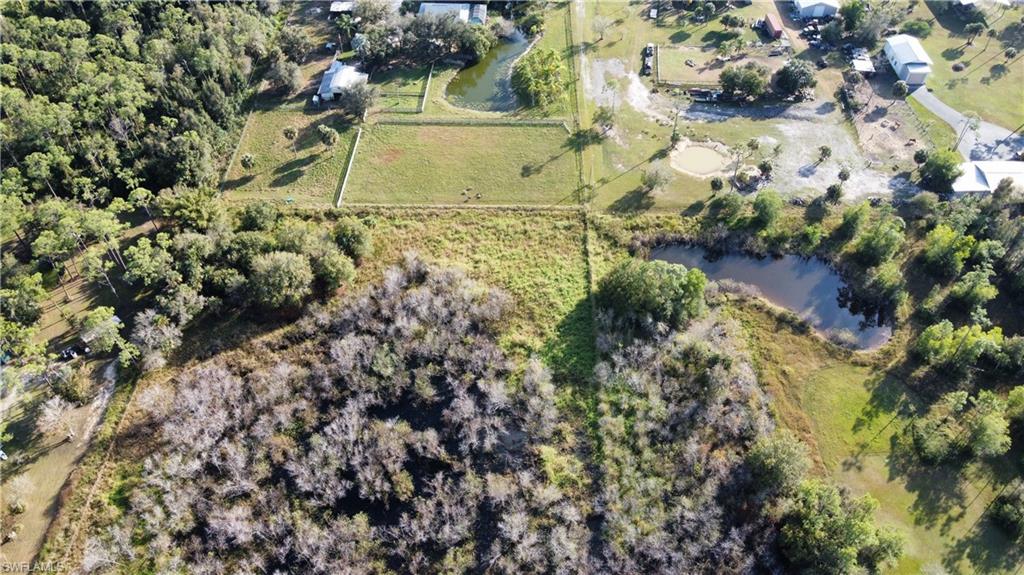 9750 Quail Hollow Rd Property Photo 6