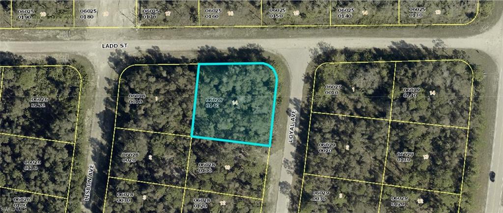 1008 Loyal AVE S Property Photo 1