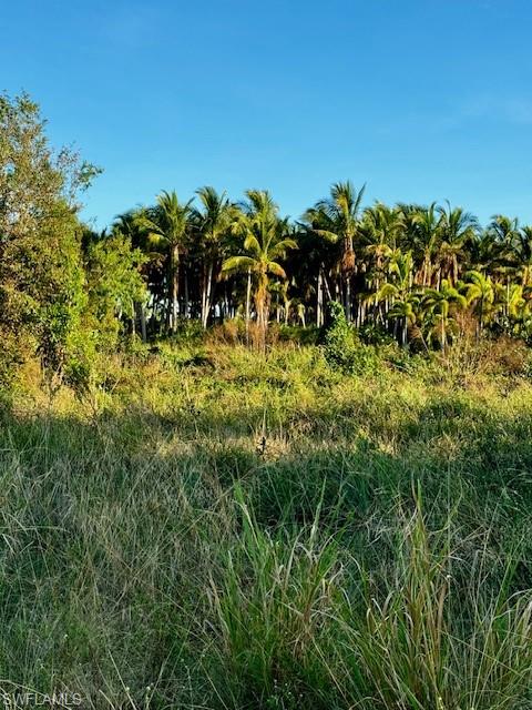 7465 Property Photo 5
