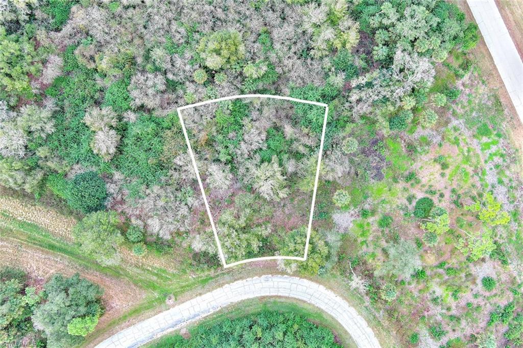 173 Carousel Ave Property Photo 2