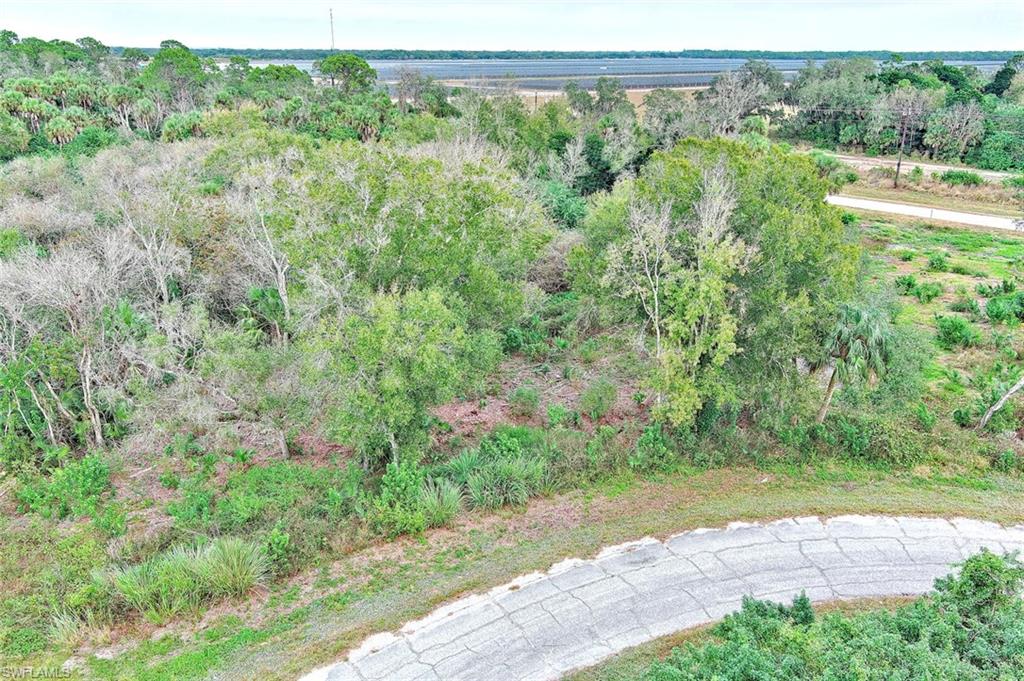 173 Carousel Ave Property Photo 3