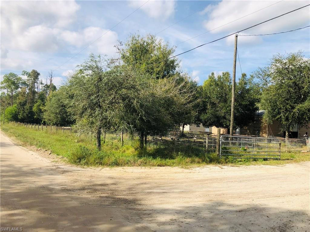 17341 Balfour Ter Property Photo 3