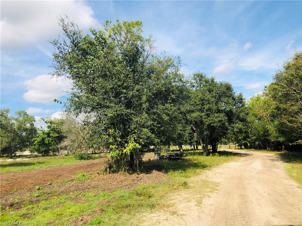 17341 Balfour Ter Property Photo 4