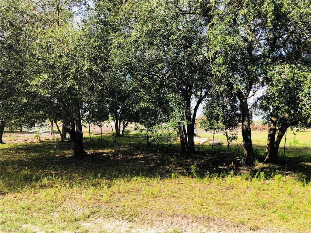 17341 Balfour Ter Property Photo 8