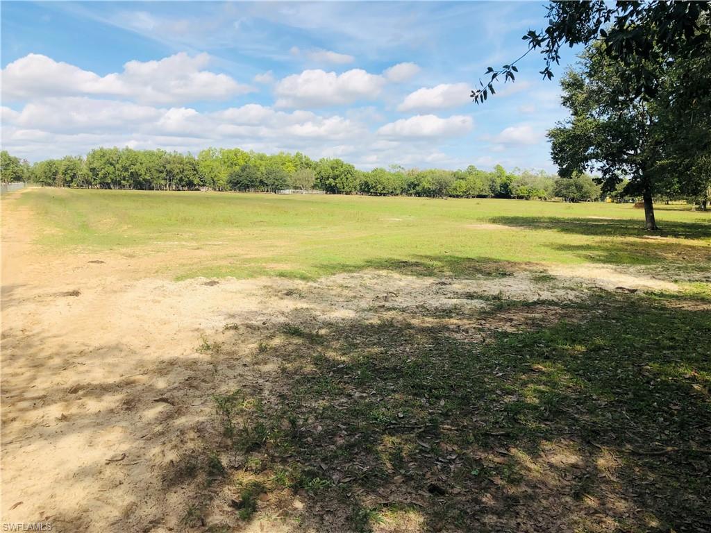 17341 Balfour Ter Property Photo 11
