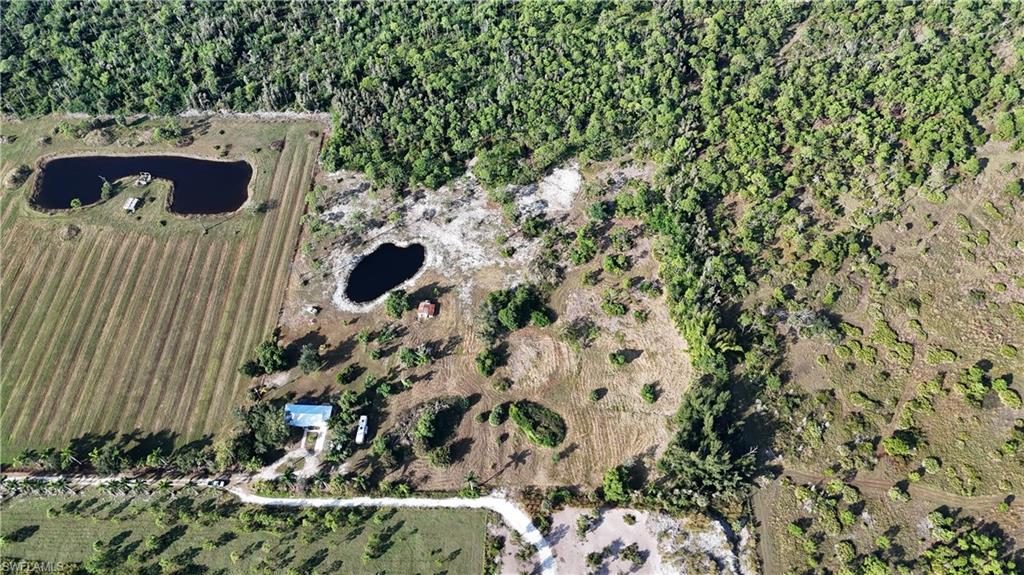 4501 Royal Palm Ranch Dr Property Photo 4