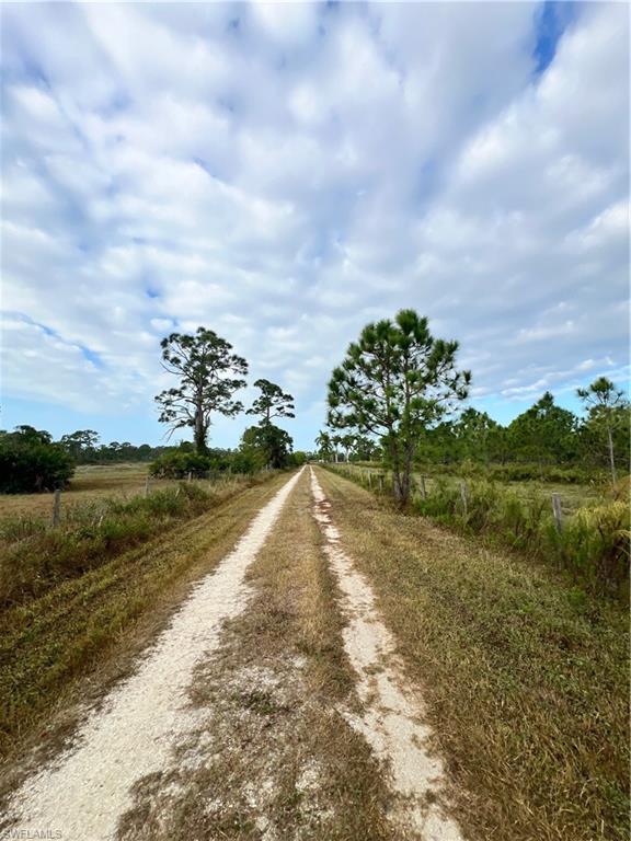 4501 Royal Palm Ranch Dr Property Photo 44