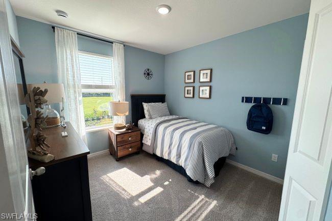 10532 Fountain Palm Cir Property Photo 22