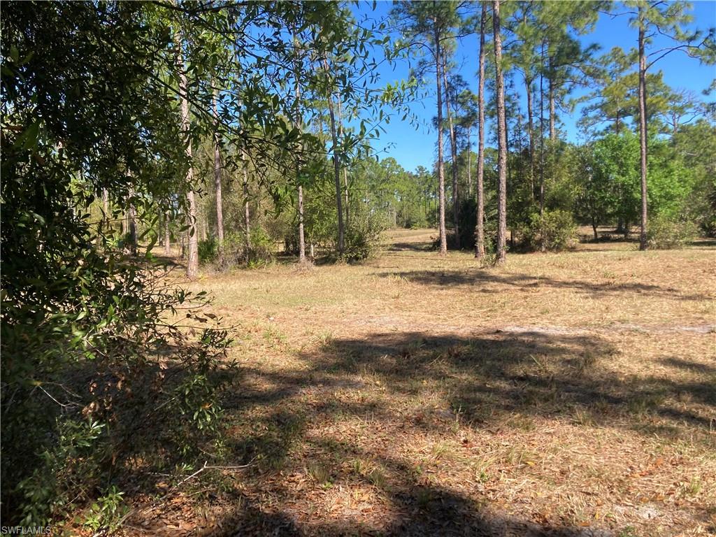 Xxx Honeybee Dr Property Photo 4