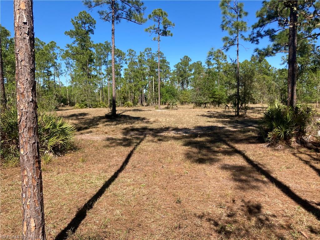 Xxx Honeybee Dr Property Photo 5