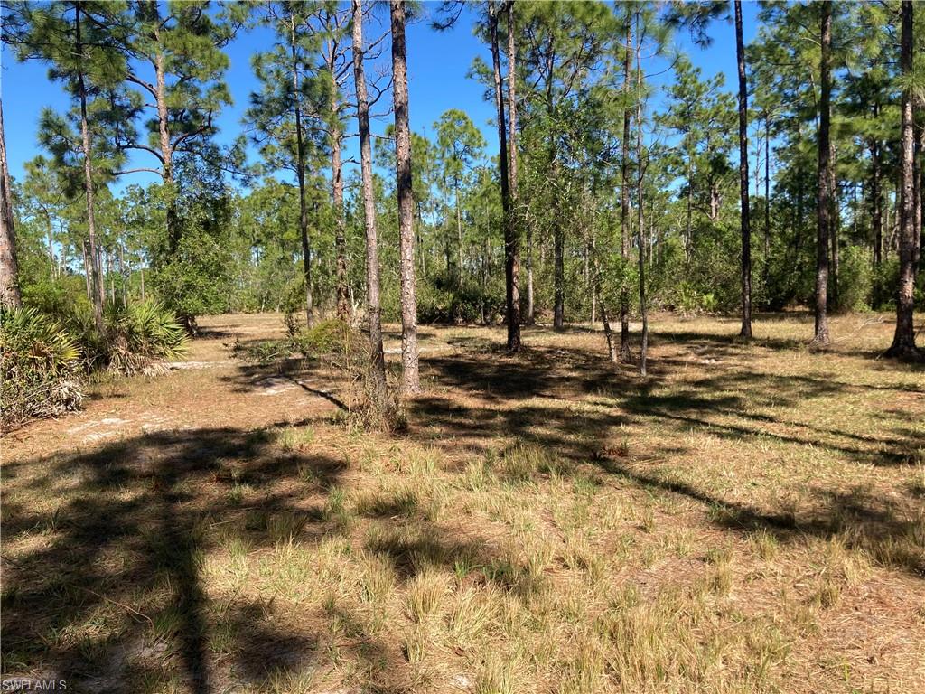 Xxx Honeybee Dr Property Photo 6