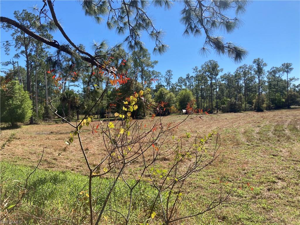 Xxx Honeybee Dr Property Photo 7