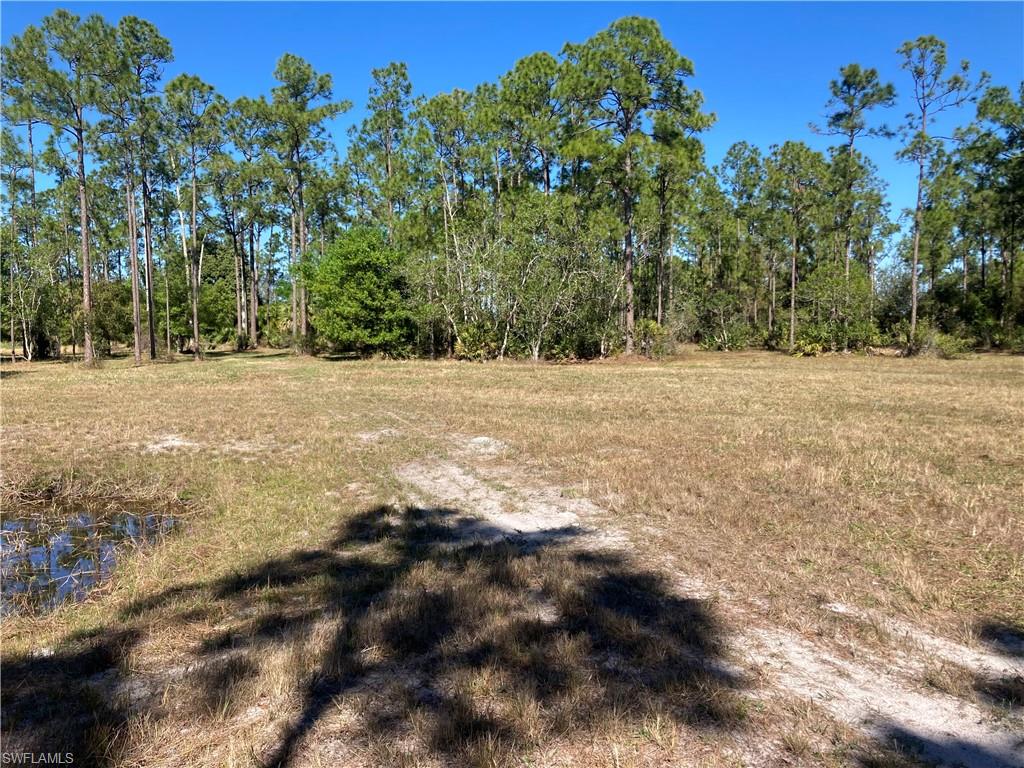 Xxx Honeybee Dr Property Photo 8