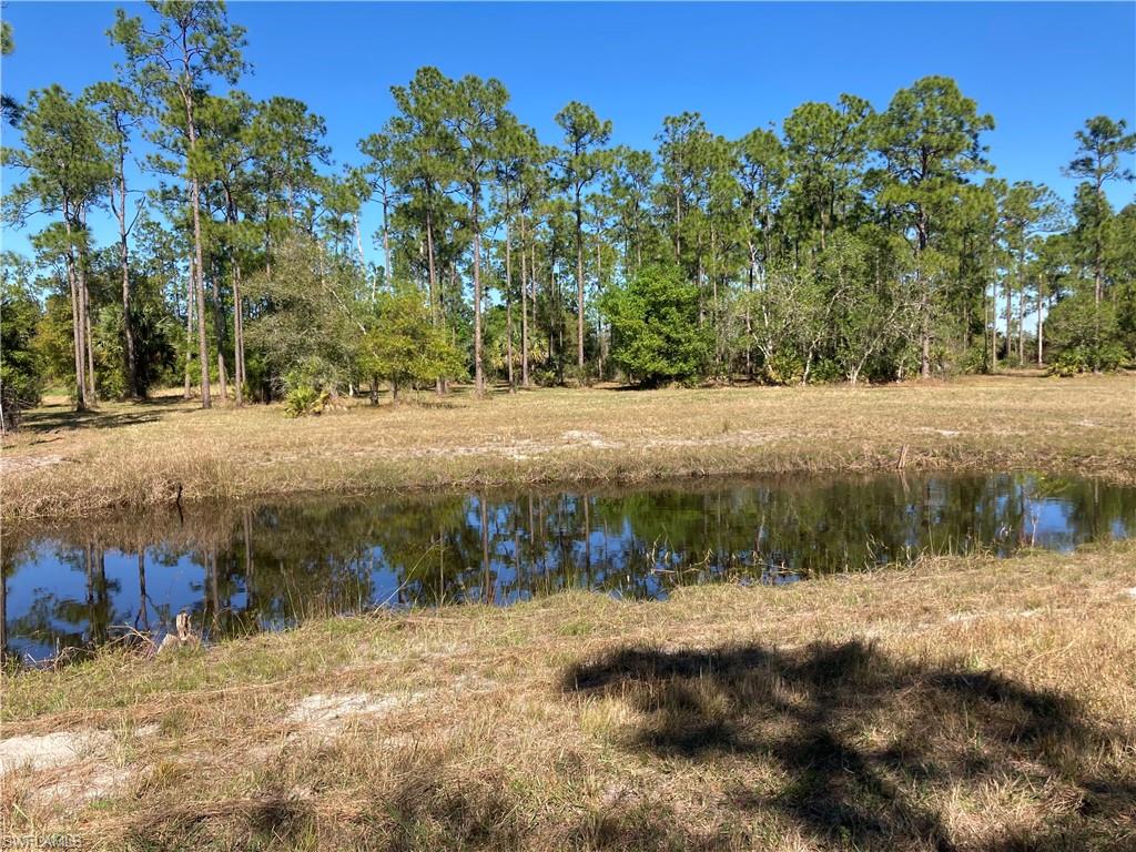 Xxx Honeybee Dr Property Photo 10