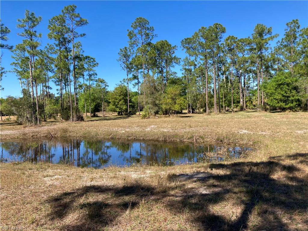 Xxx Honeybee Dr Property Photo 11
