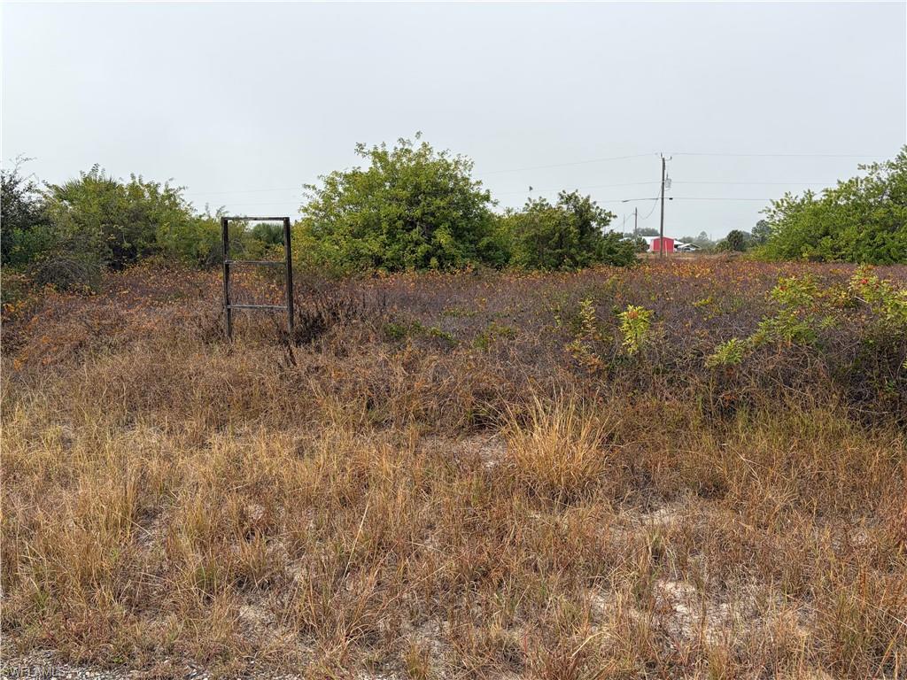 1509 Wells AVE Property Photo 1