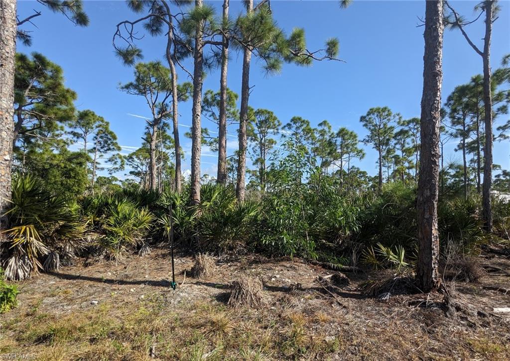 4159 Sunshine Blvd Property Photo 8