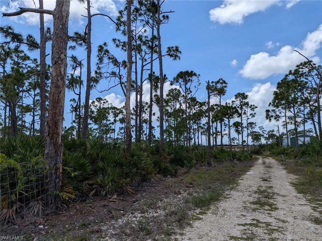 4159 Sunshine Blvd Property Photo 9