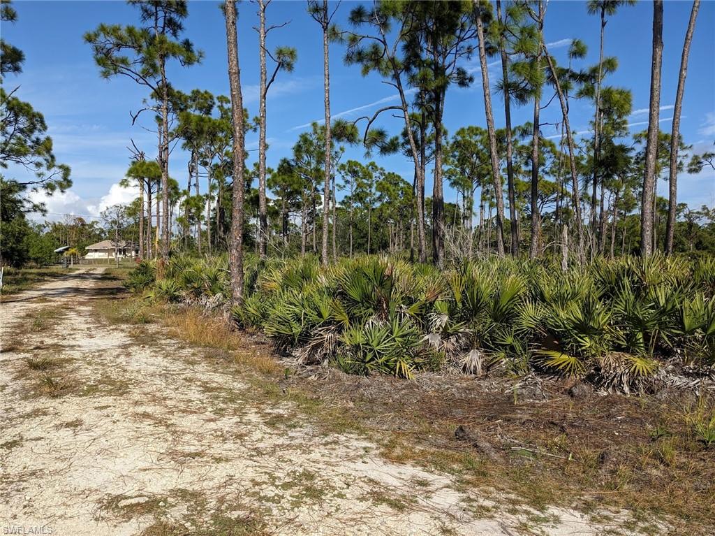 4159 Sunshine Blvd Property Photo 11