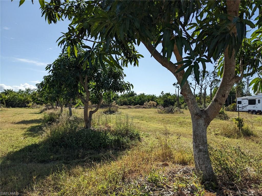 4159 Sunshine Blvd Property Photo 17