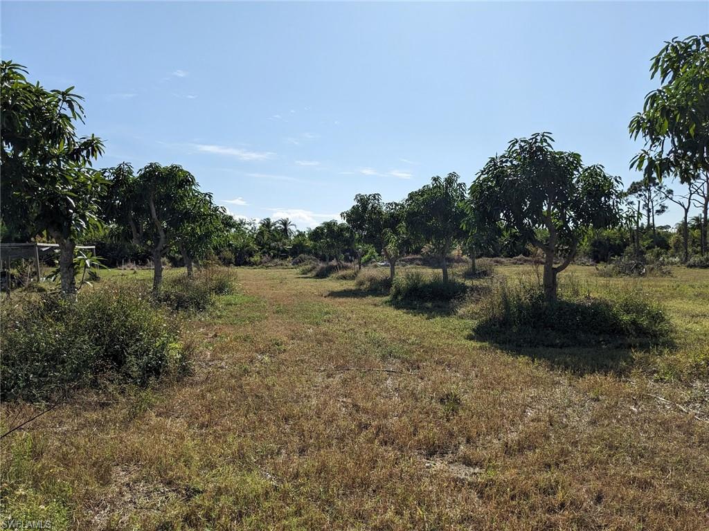4159 Sunshine Blvd Property Photo 21