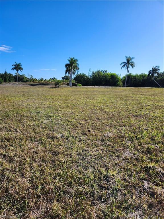 7665 Barrancas Ave Property Photo 6