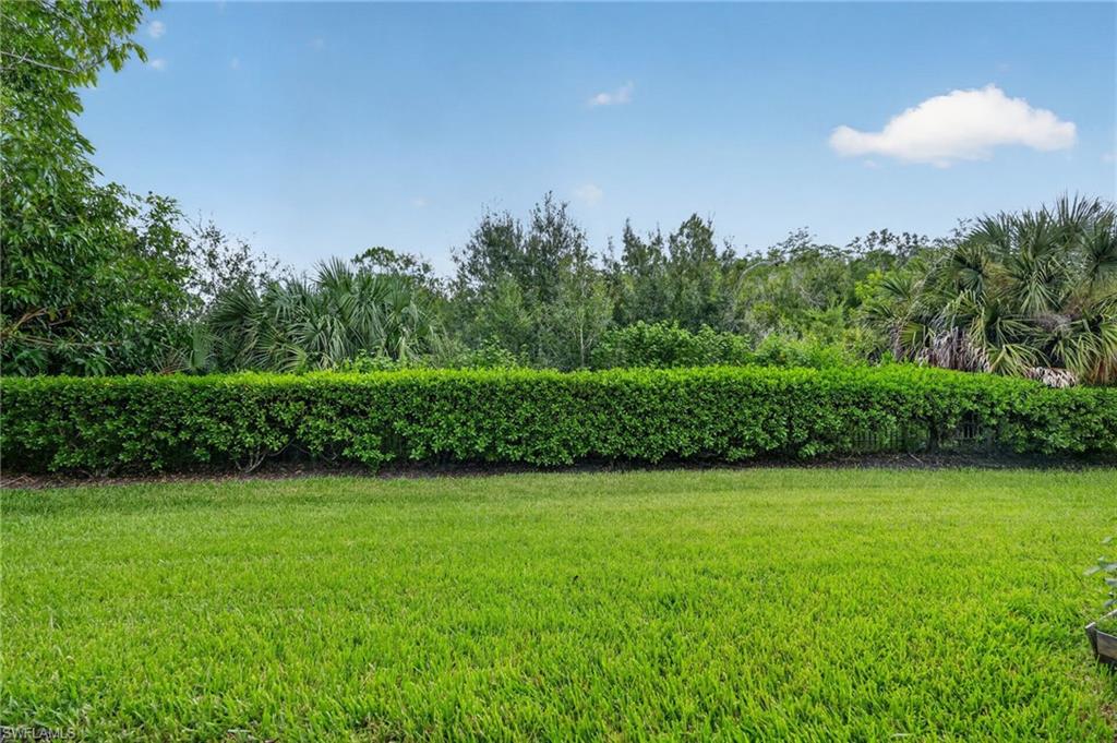 4048 Cherrybrook Loop Property Photo 41
