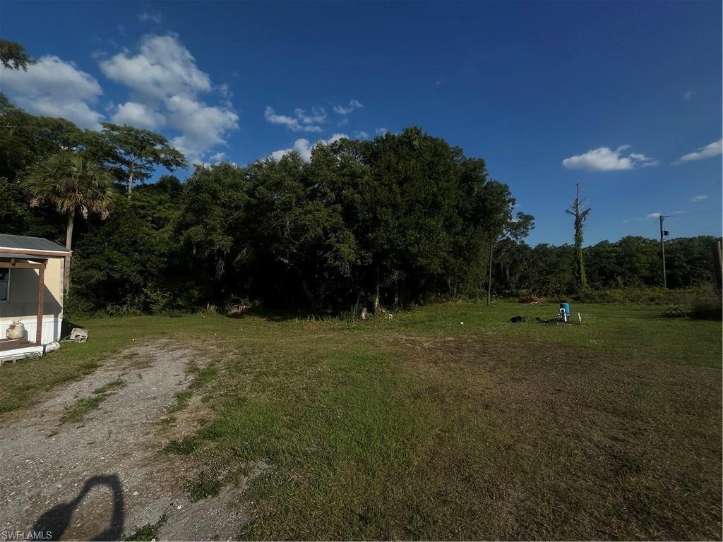 1195 Blueberry Ln Property Photo 17