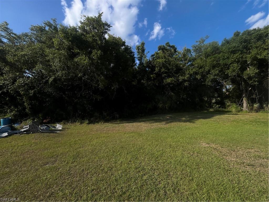 1195 Blueberry Ln Property Photo 18