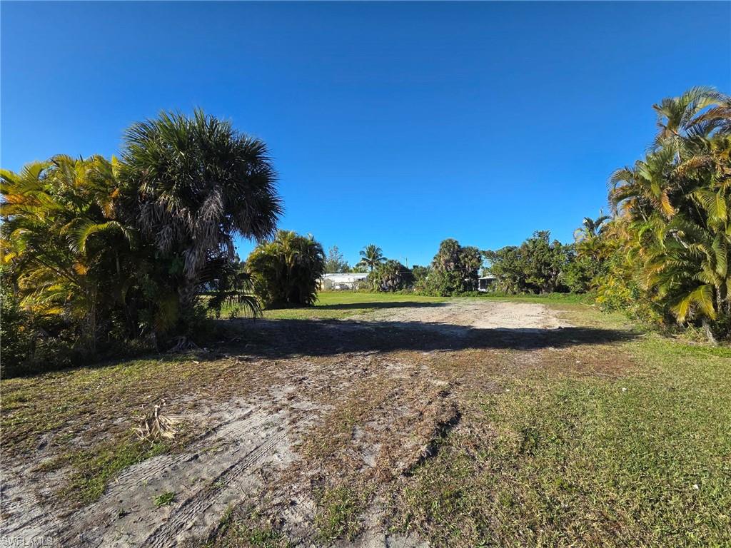 7840 Raymary St Property Photo 3