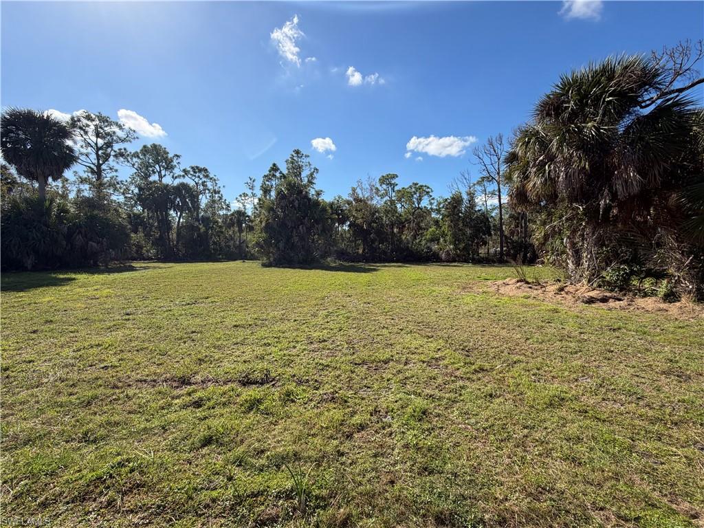 24501 Yacht Club Blvd Property Photo 5