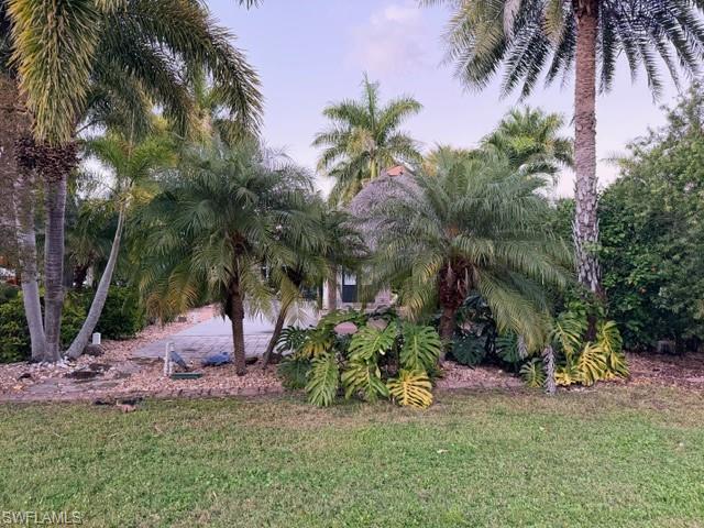 10212 Yellowtop Trl Property Photo 11