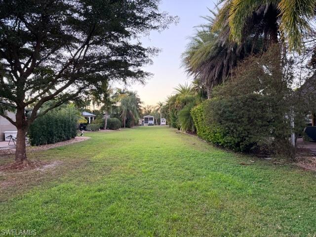 10212 Yellowtop Trl Property Photo 13