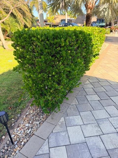 5200 Marsh Mallow Trl Property Photo 19