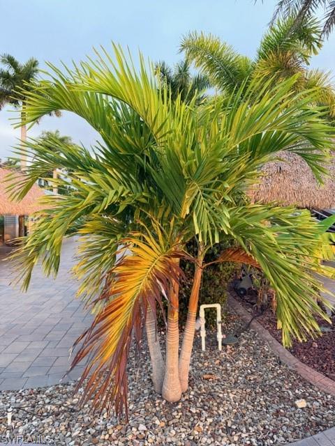 5309 Cypress Trail Resort Cir Property Photo 16