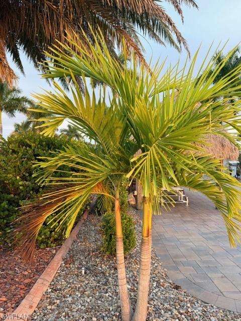 5309 Cypress Trail Resort Cir Property Photo 17