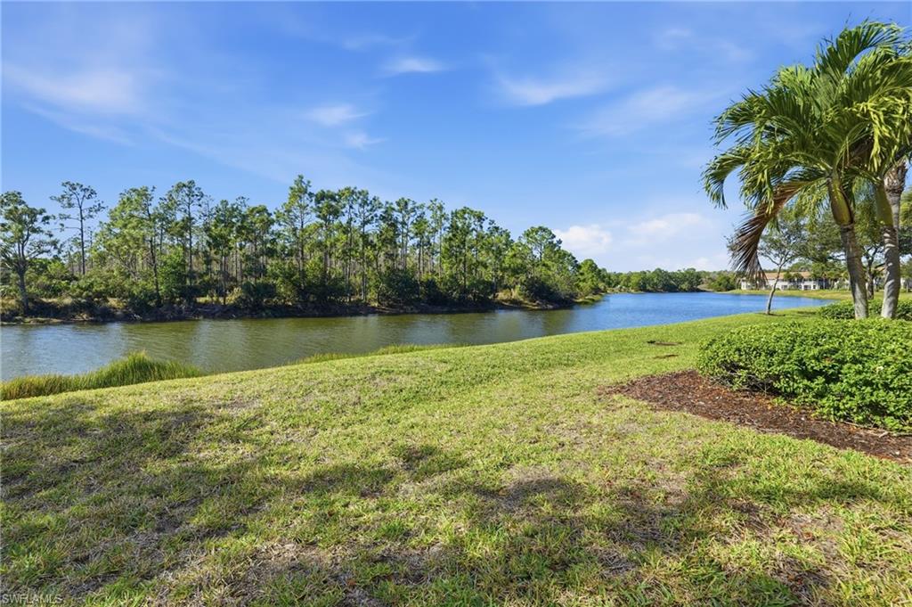 10137 Colonial Country Club Blvd 1103 Property Photo 25