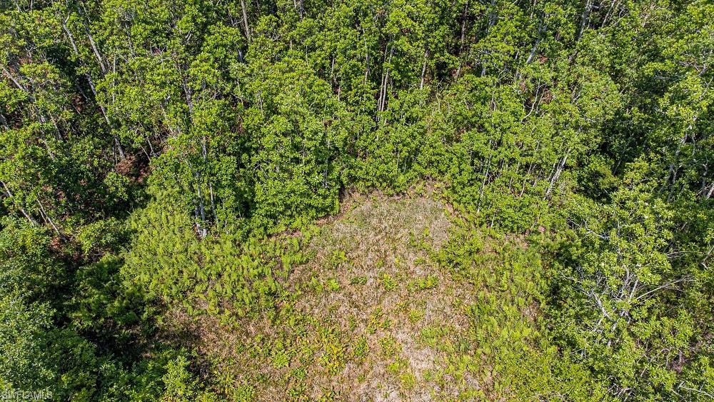 1 Catamount Rd Property Photo 13
