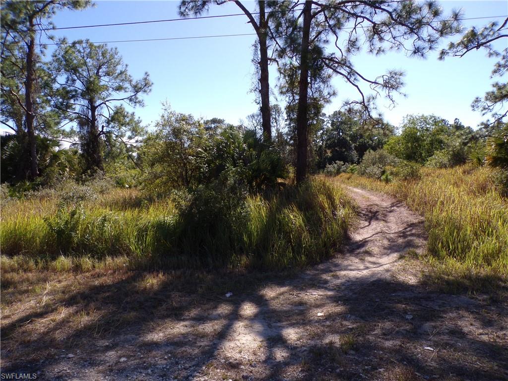 763 Longbow Ln Property Photo 7