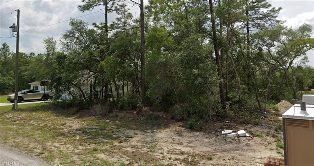Tbd Sw 69th Ct. Rd Property Photo 2