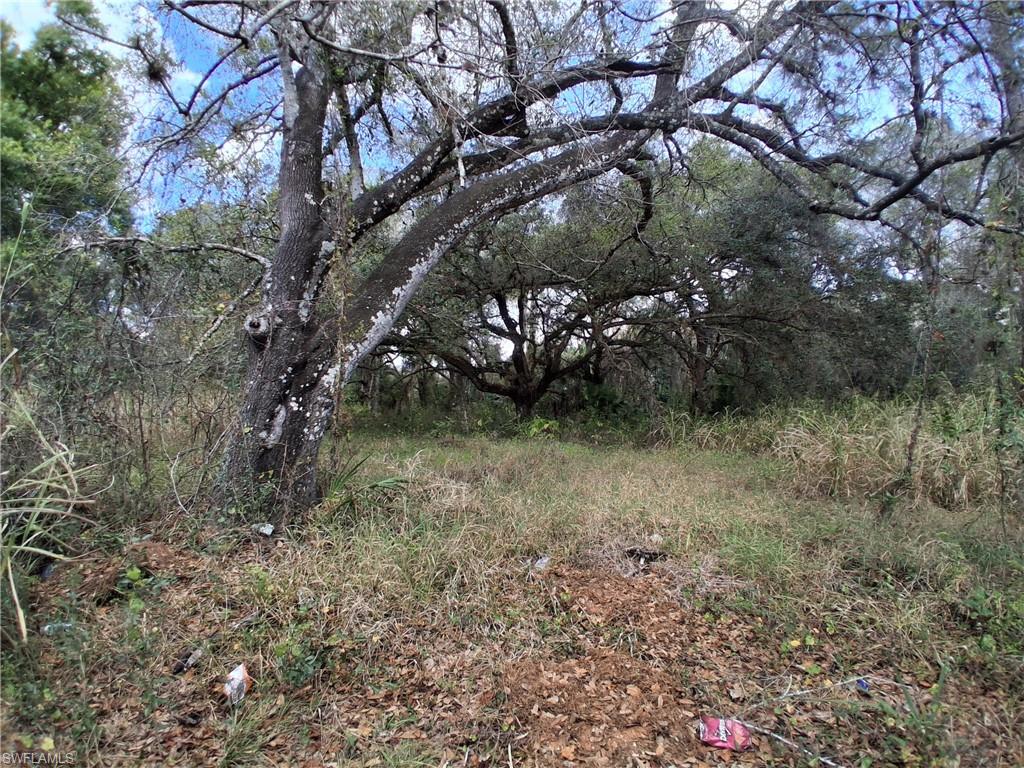 Suwanee Ave Property Photo 12