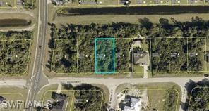 343 Paddock ST Property Photo 1