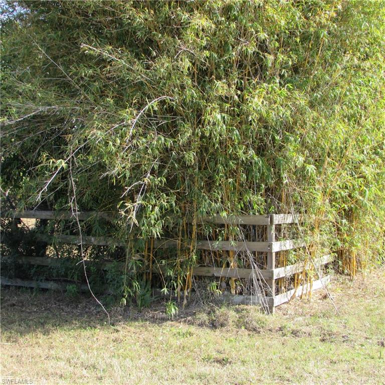 8390 Stringfellow Rd Property Photo 18