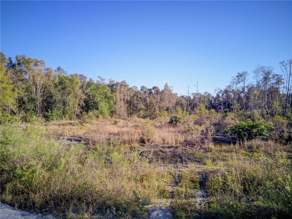 17380 Richard Rd Property Photo 5
