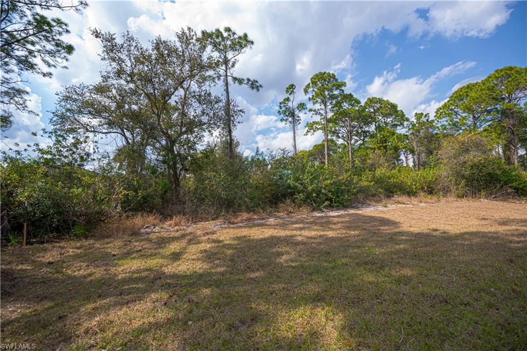 6203 Hob Ct Property Photo 43