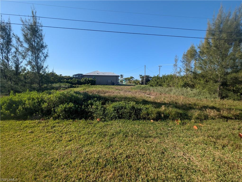 2391 Rose Ave Property Photo 4
