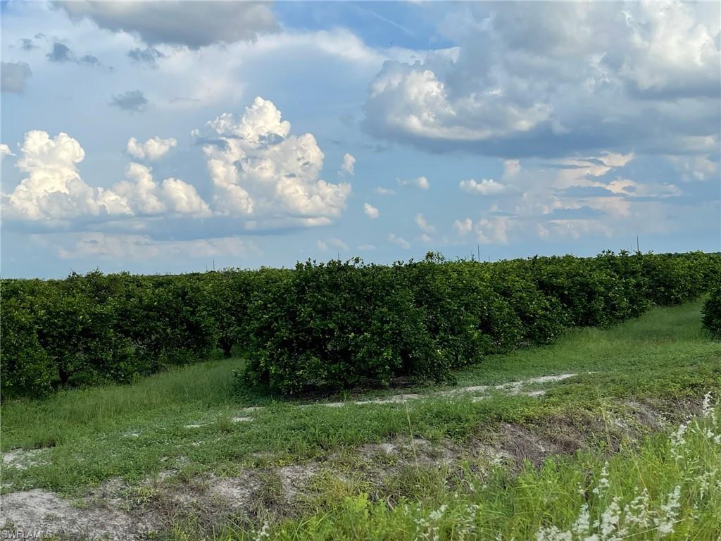 6380 + 6340 6th Rd Property Photo 1