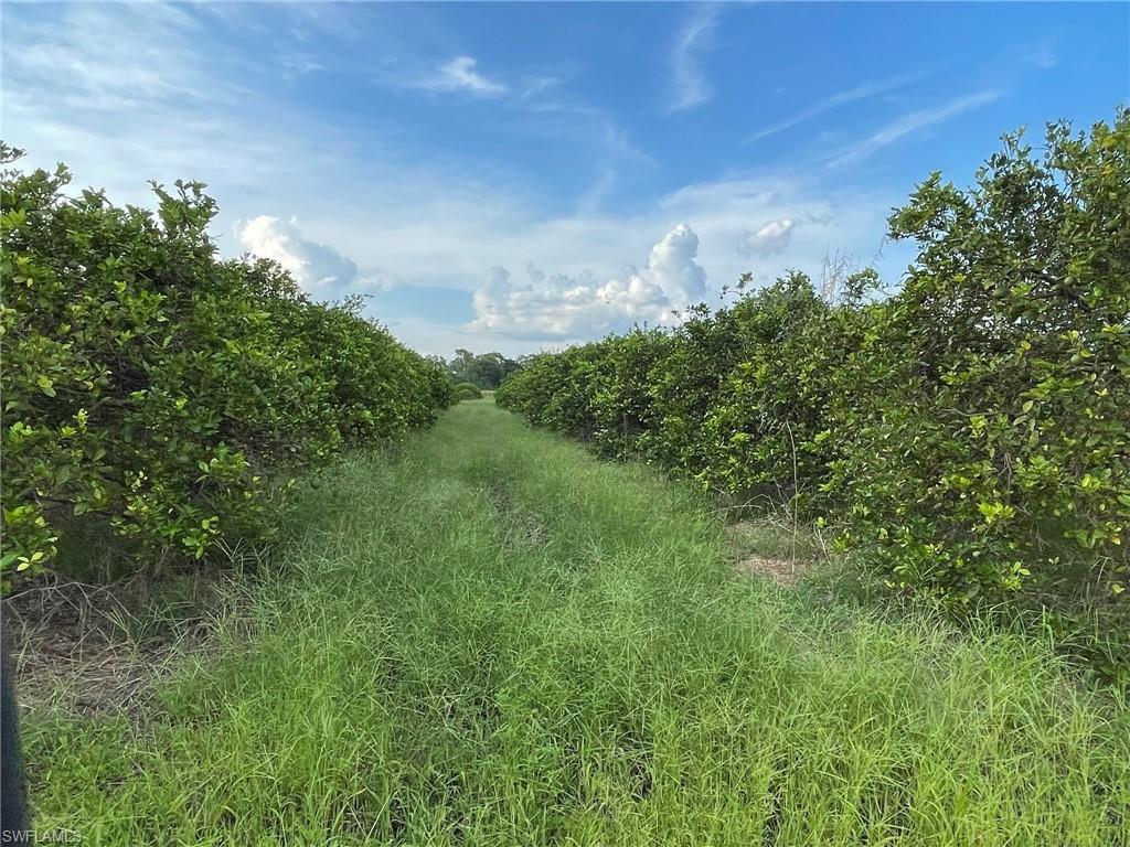 6380 + 6340 6th Rd Property Photo 3