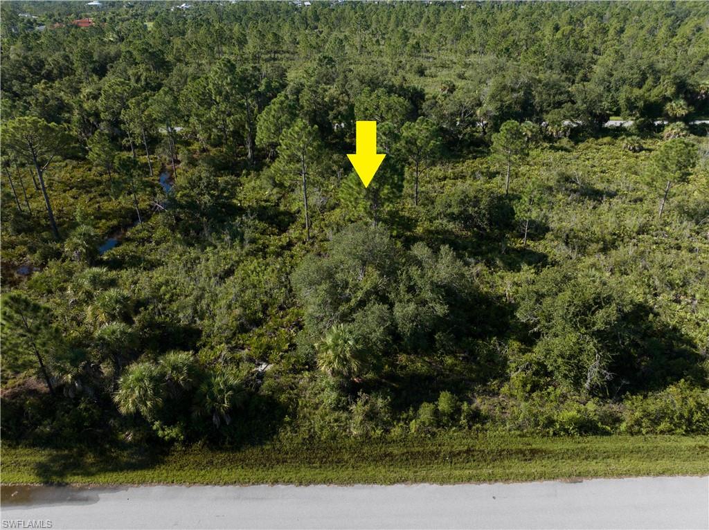 13211 Chiminiello Dr Property Photo 3